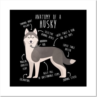 Grey Siberian Husky Dog Anatomy Posters and Art